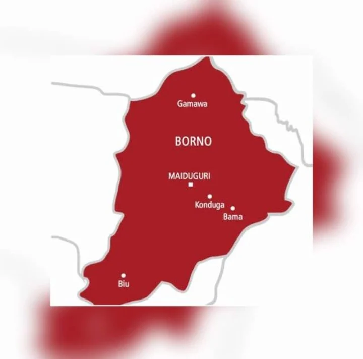 Terrorists den: 360 freed Borno captives recount starvation, deaths borno map